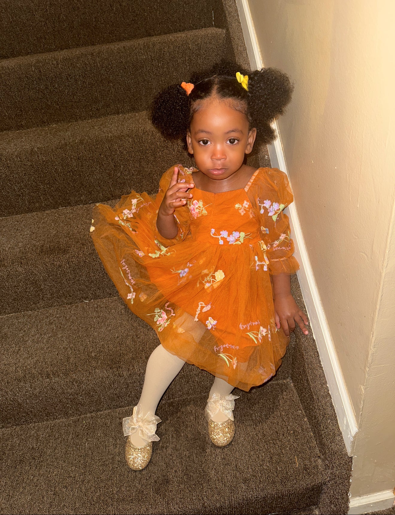Lani’s Orchard Tulle Dress